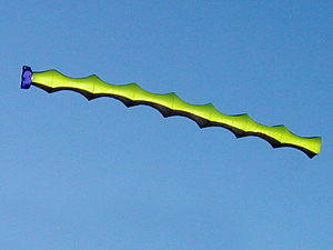 rotating spine tube