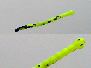 Rowlands' caterpillar