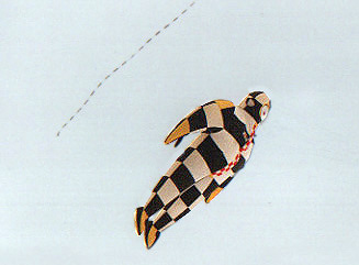  Pierre Fabre