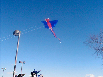 Dragon stunt kite story