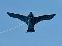Voitländer number 4