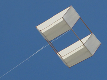 1898 Potter Diamond Cell kite