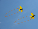 Lester Bird pair