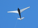 Berlin Flyer kite