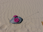 Mouse sand bag