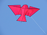 Haft bird kite flying