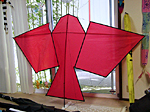 Haft bird kite