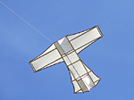 Classic Antoinette kite