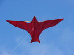 Voitländer classic kite