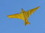 Voitlander bird kite