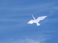 Swan kite