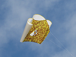 Riley's kite