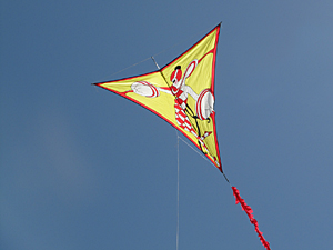 Harlequin Dancer kite