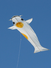 Dot the Koi kite