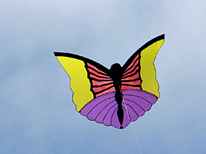 appliquéd butterfly