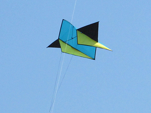 Ripstop nylon Victory Star