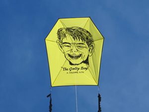 Jolly Boy the Ruffian Barn Door kite