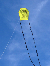 Jolly Boy Ruffian barn door kite