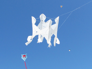 children kite wip