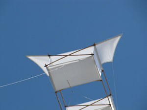 Silk kite