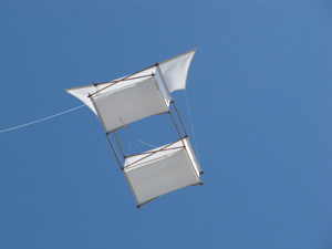 Silk kite
