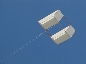 Potter classic kite