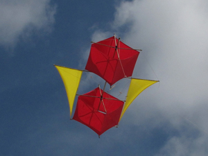 Potter kite by Bob Umbowers