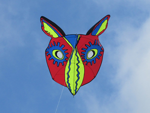 bird mask kite