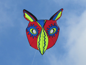 bird mask kite