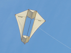Bob's kite