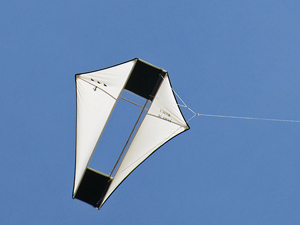 Frits' kite