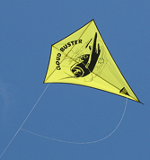 Cloud Buster kite