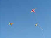 three Pterosaur kites
