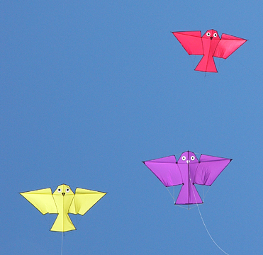 Arno Haft bird kites
