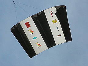 Parasled kite